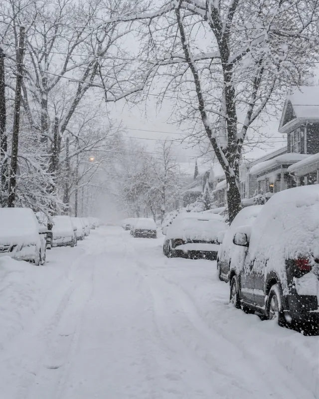 Snow-covered neighborhood street