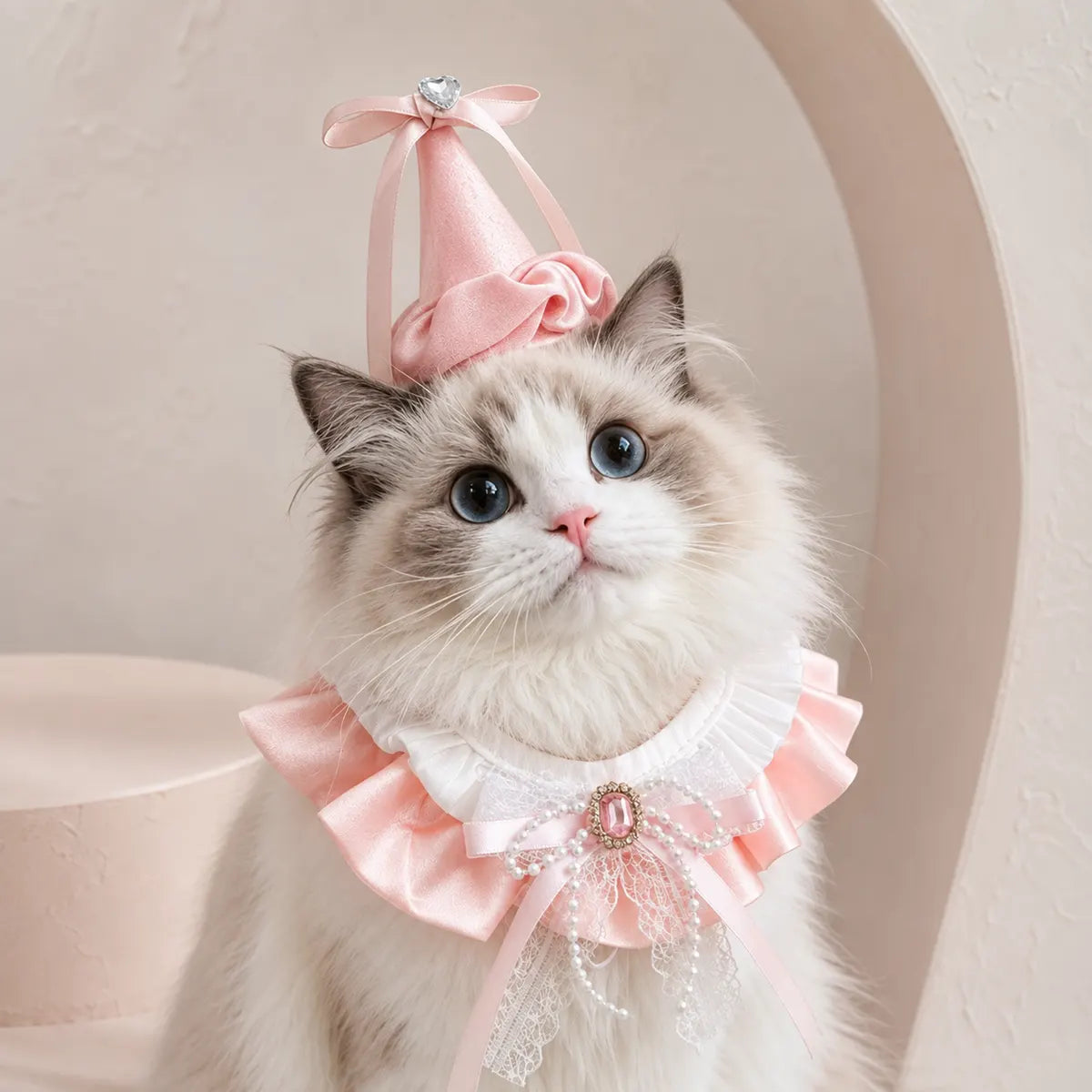 Tailorapaw Princess Pet Birthday Set