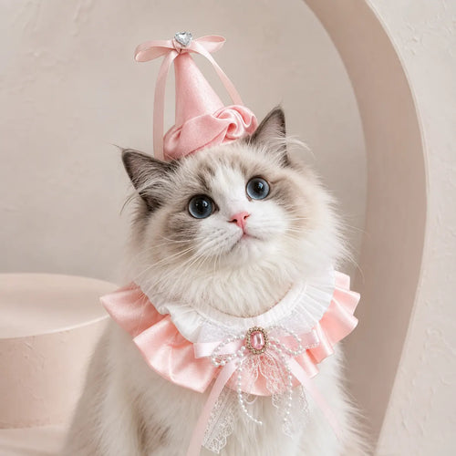 Tailorapaw Princess Pet Birthday Set
