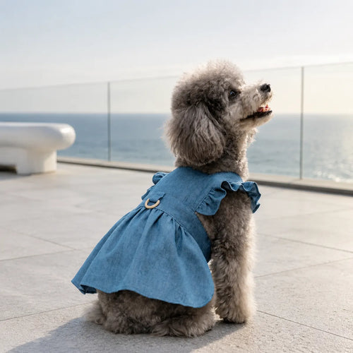 Tailorapaw Denim Dog Harness Dress