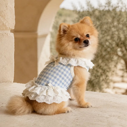 Tailorapaw Summer Lace Puppy Dress