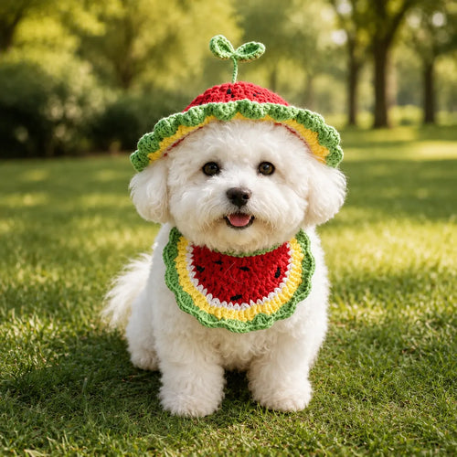 Tailorapaw Crochet Watermelon Pet Set