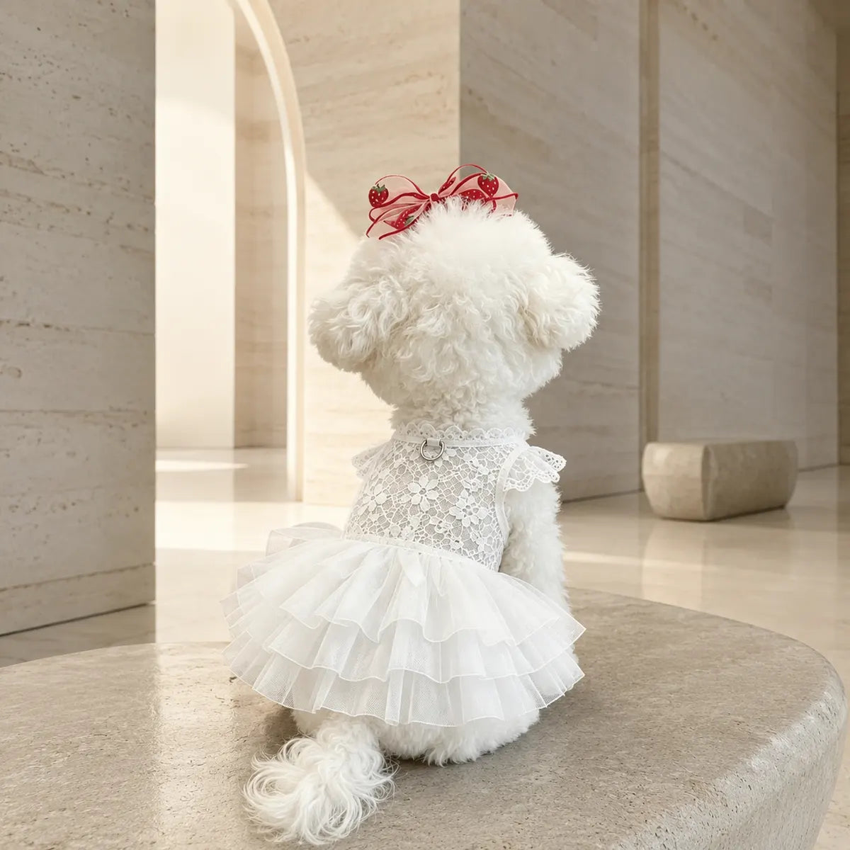 Tailorapaw Lace Tutu Dog Dress