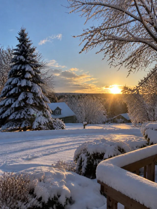 Sunrise over a snow-covered neighborhood